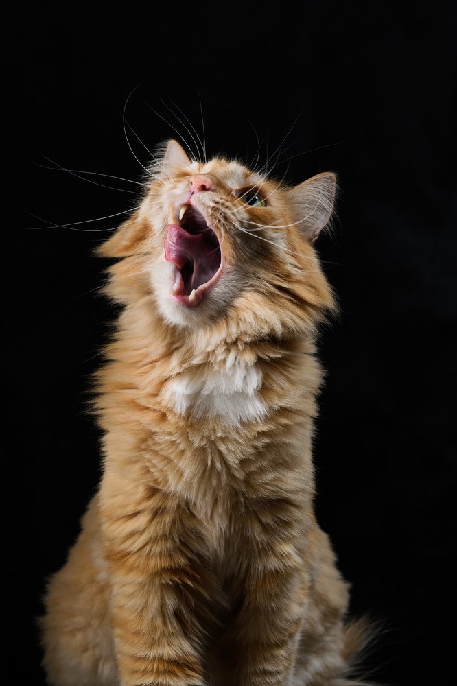 Photograph by Евгений Некрошевич