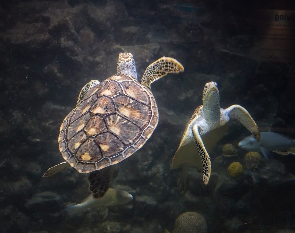 Photograph by Вячеслав Прыгун