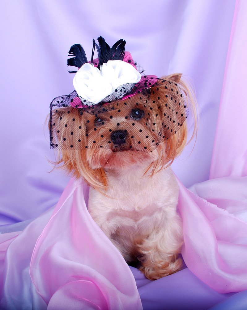 Photograph by Елена Ивонина