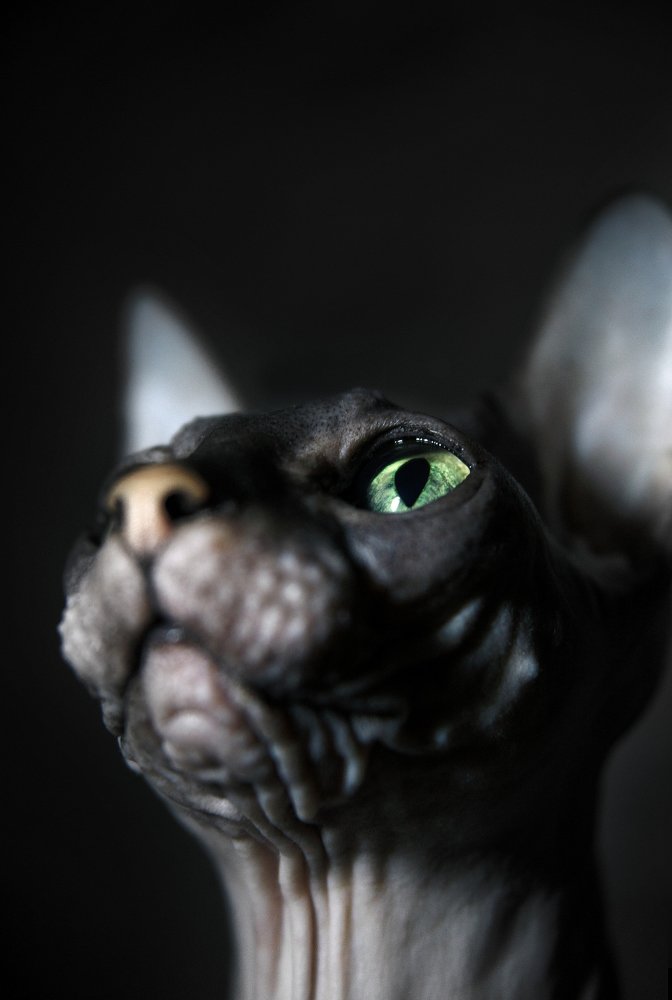 Photograph by Юлия Яровая