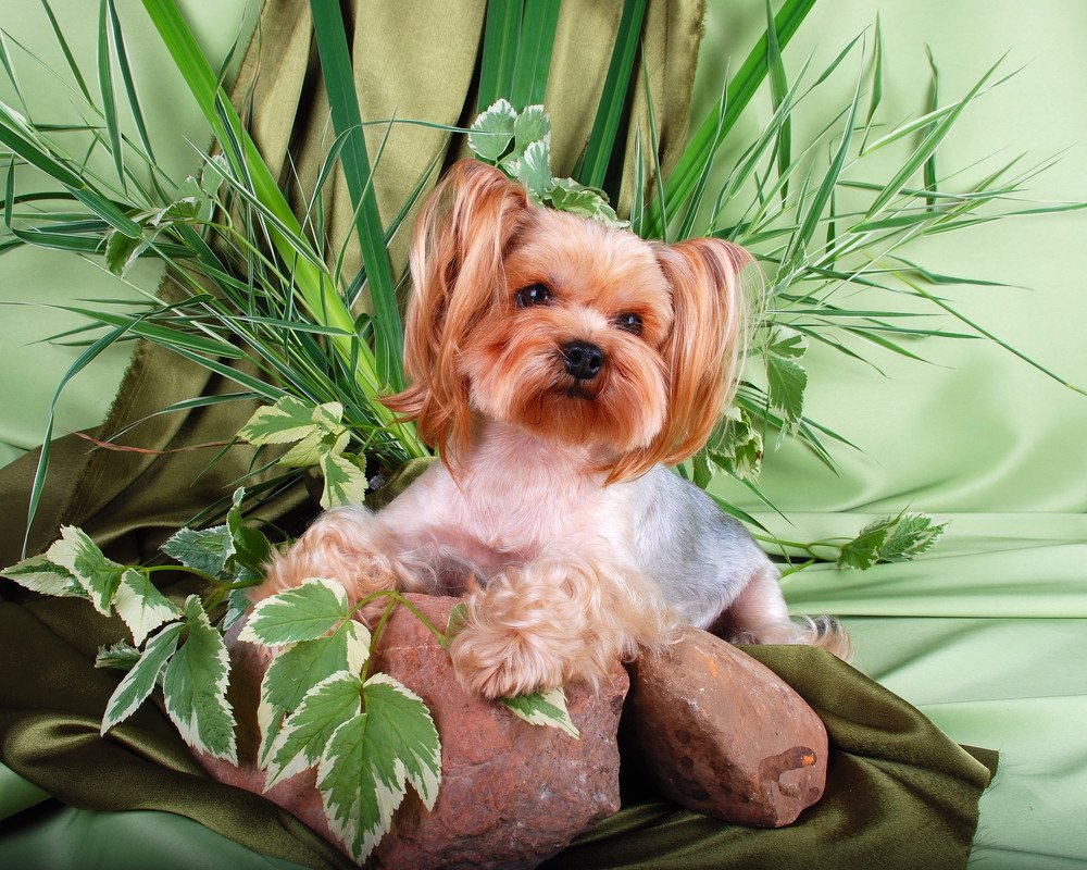 Photograph by Елена Ивонина