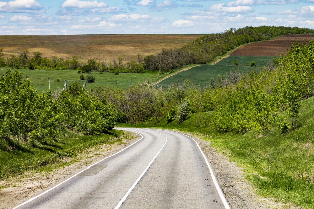 Пейзаж на виноградники и поля с дорожным участком
