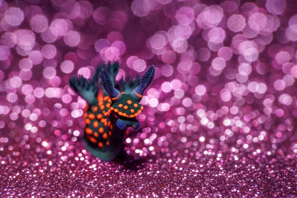 Photograph by Андрей Савин