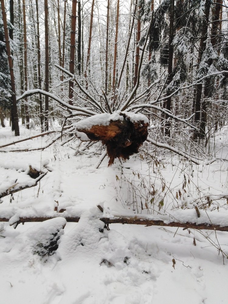 Photograph by Татьяна Ситникова