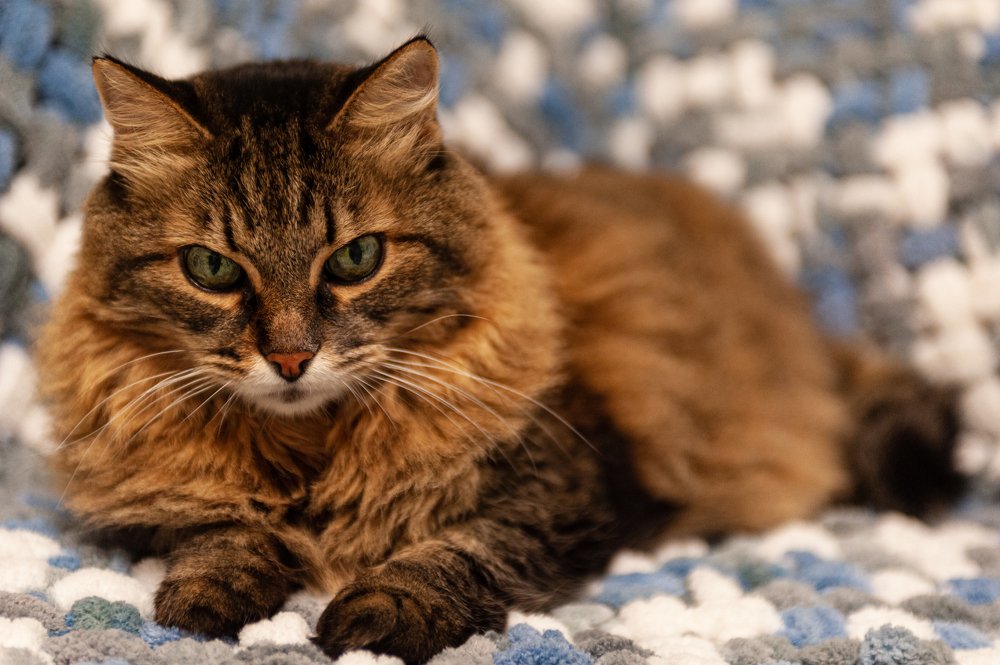 Photograph by Ольга Калачкина