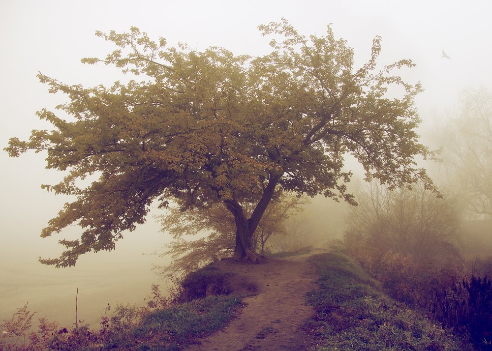 Photograph by Александр Замятин