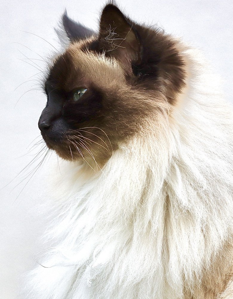 Photograph by Малика Маткарим