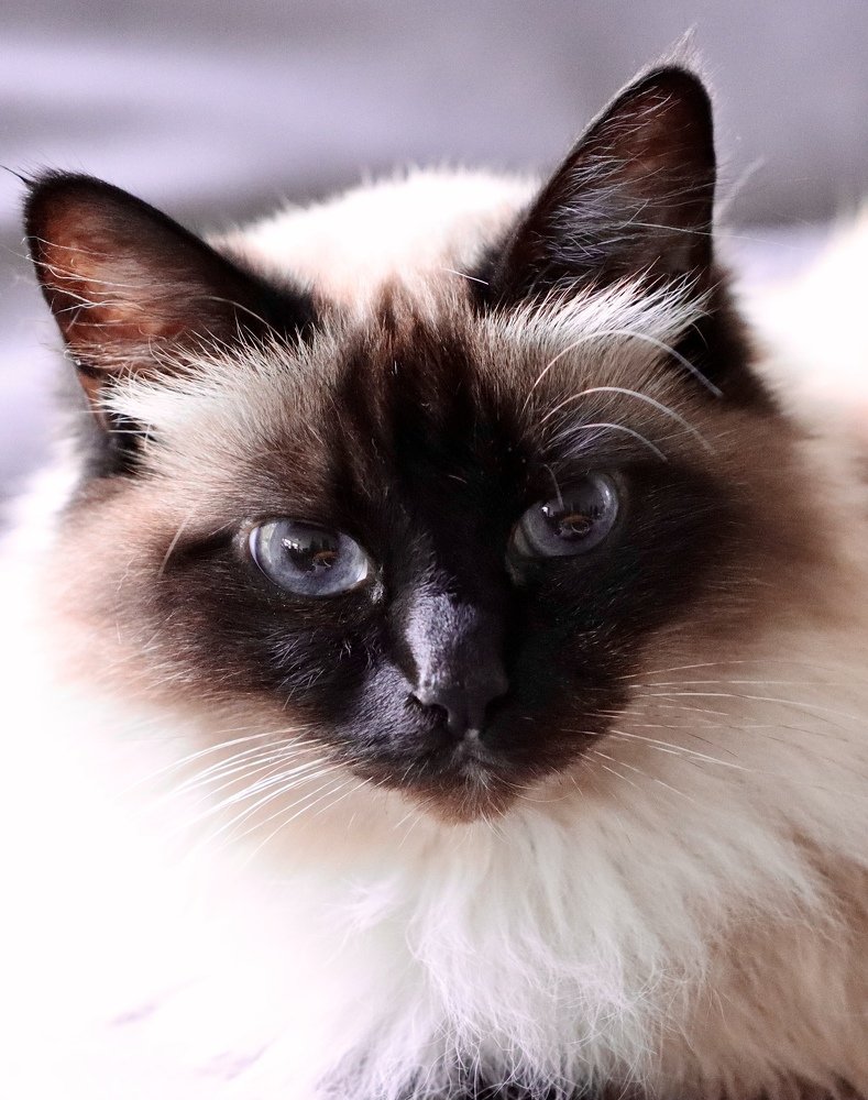 Photograph by Малика Маткарим