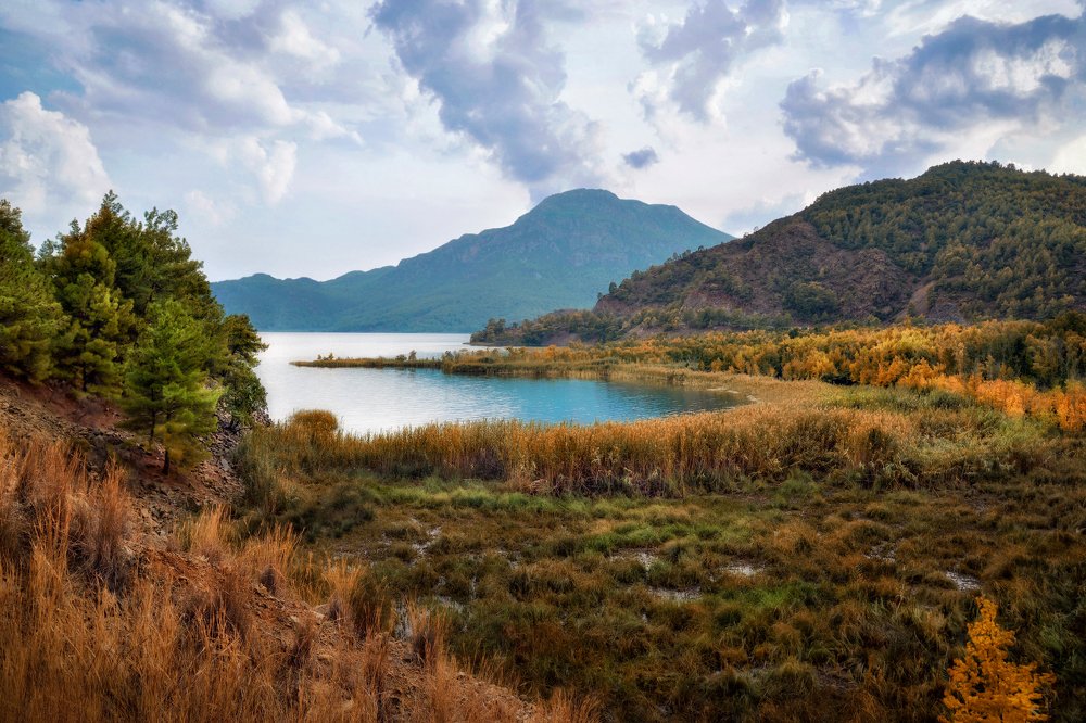 Осень в краю болот