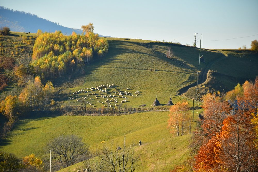 Photograph by Florin