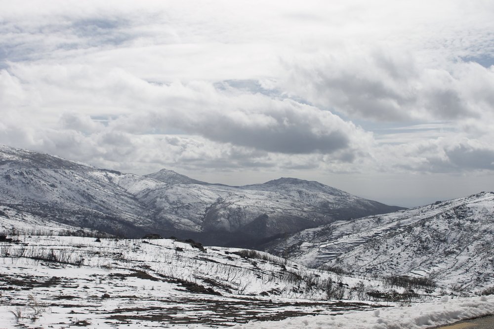 Photograph by Francisco Ferreira