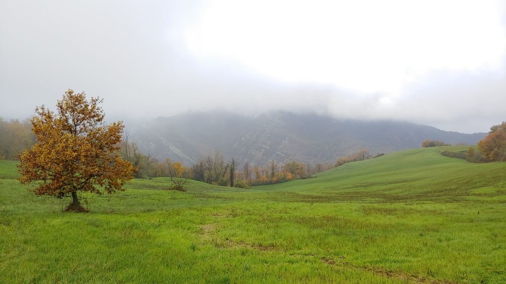 Photograph by Maurizio