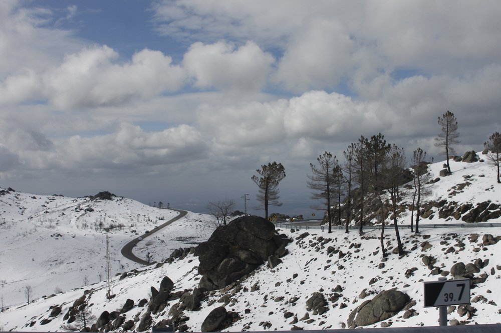 Photograph by Francisco Ferreira