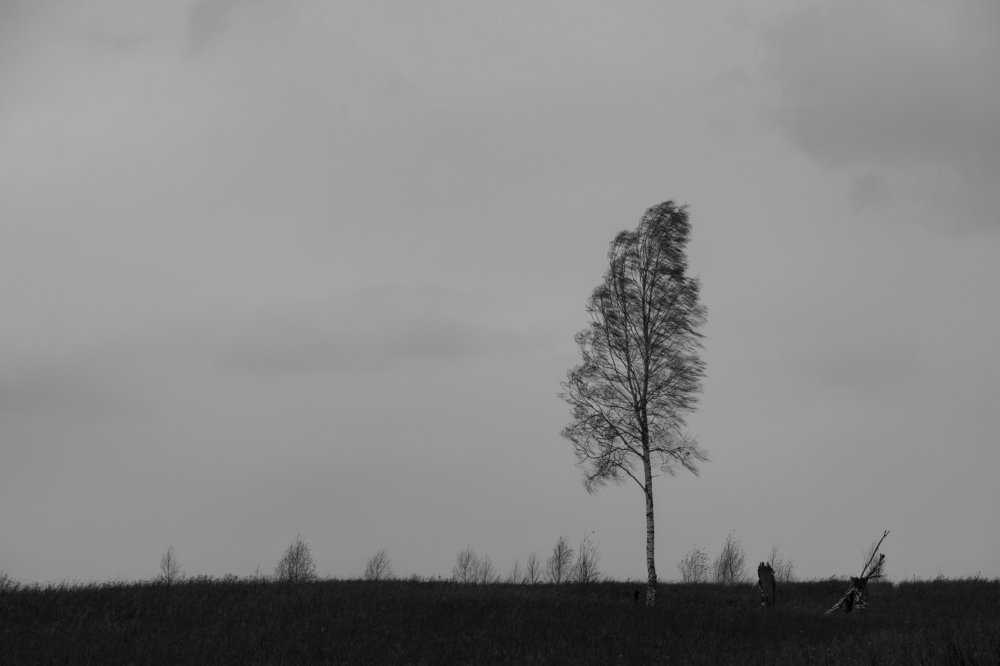 Photograph by Сергей Шерстнев