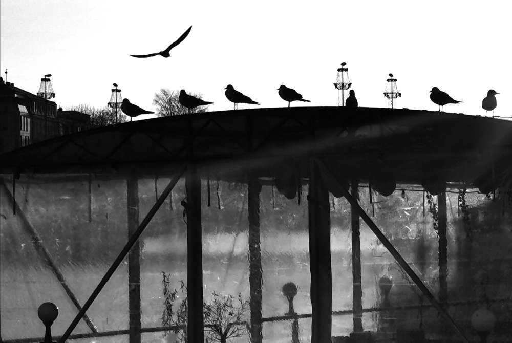 Photograph by Palina Mikhailouskaya