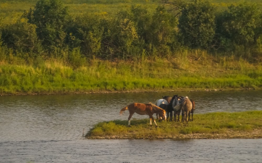 Photograph by Виктор Сёмушкин