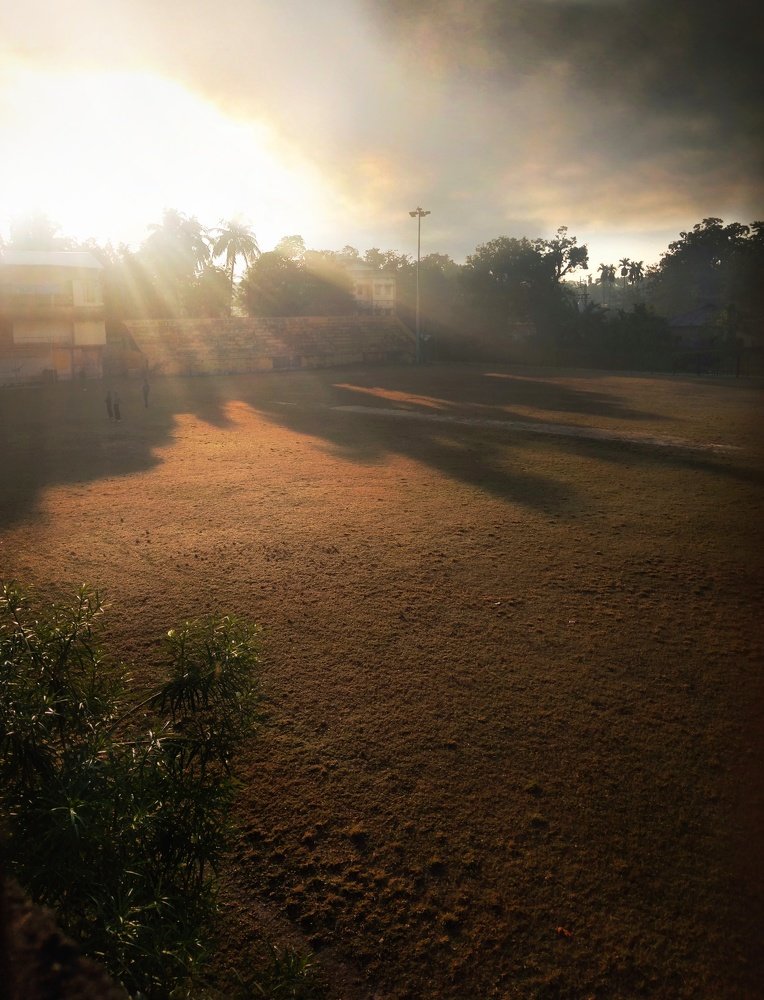 My morning view