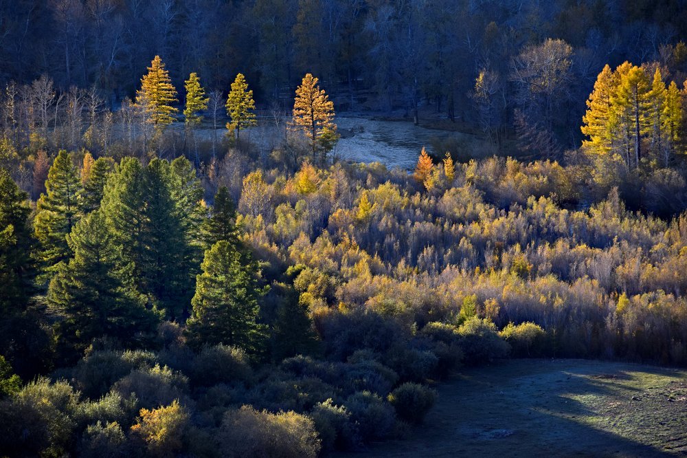 Photograph by Светлана Крат