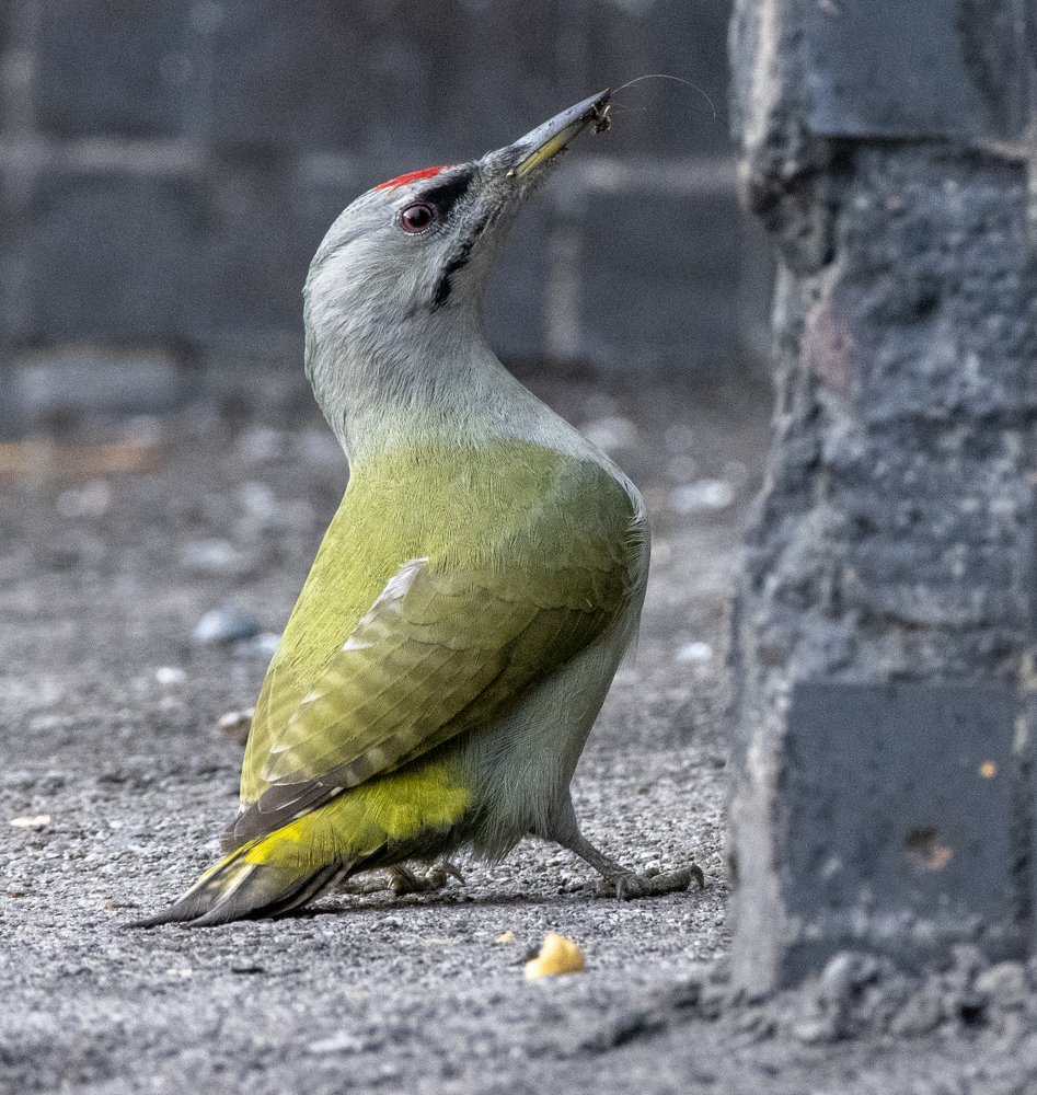 Photograph by Сергей Шерстнев