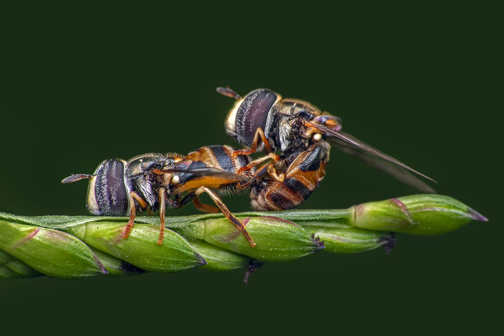 Фотография автора NeCoTi ChonTin