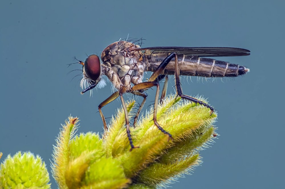 Фотография автора NeCoTi ChonTin