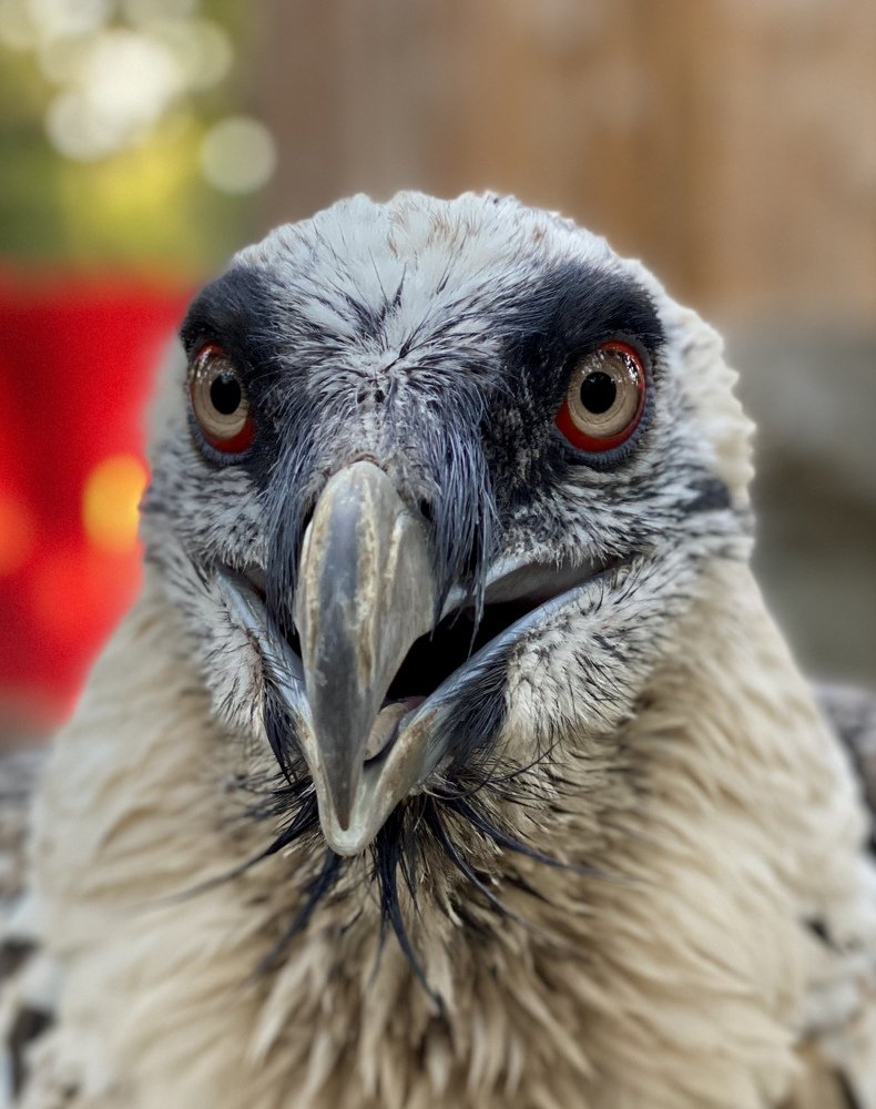 Photograph by Елена Гарибян