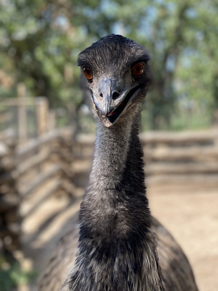 Photograph by Елена Гарибян