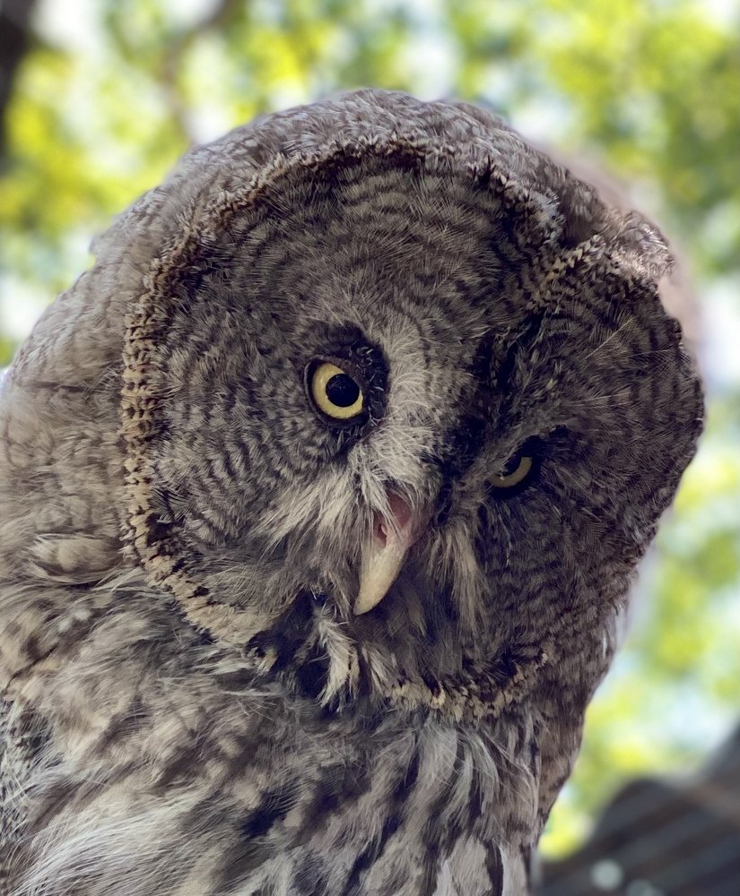 Photograph by Елена Гарибян