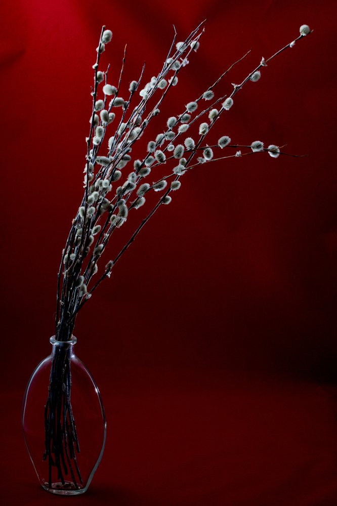 Фотография автора Mihail Siergiejevicz