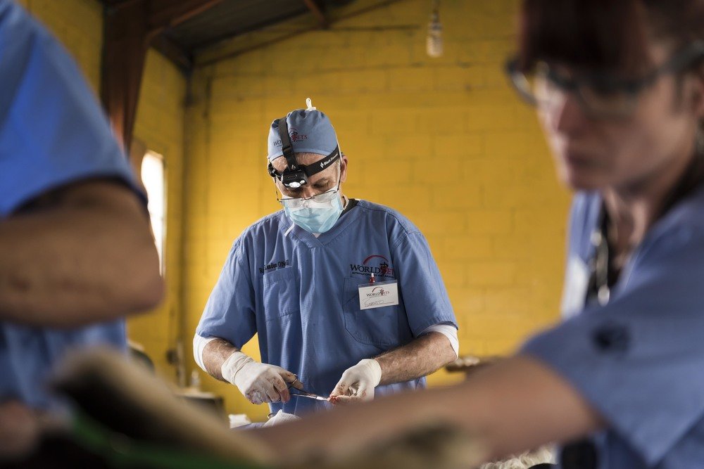 Photograph by Camilo Sarti