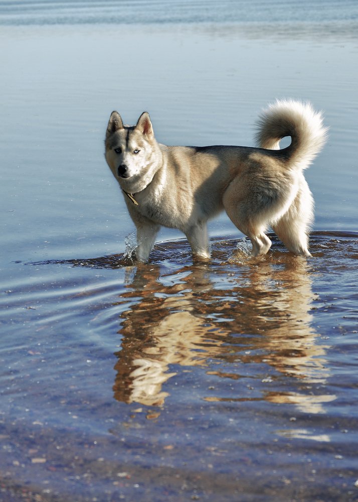 Photograph by Ирина Кленкова