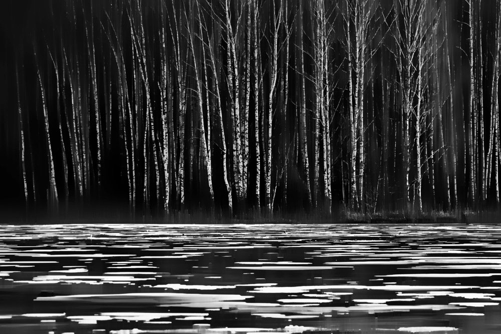 Photograph by Oleg M Kulishov