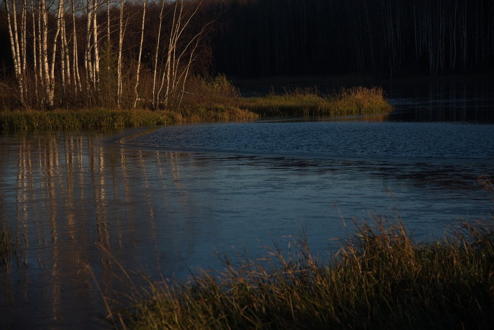 Photograph by Oleg M Kulishov