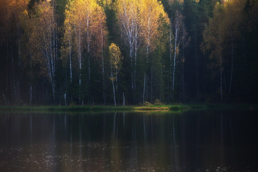 Photograph by Oleg M Kulishov