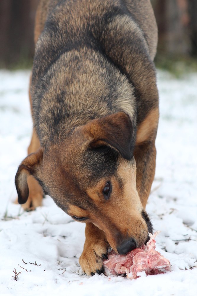 Photograph by Наталья Горбачева