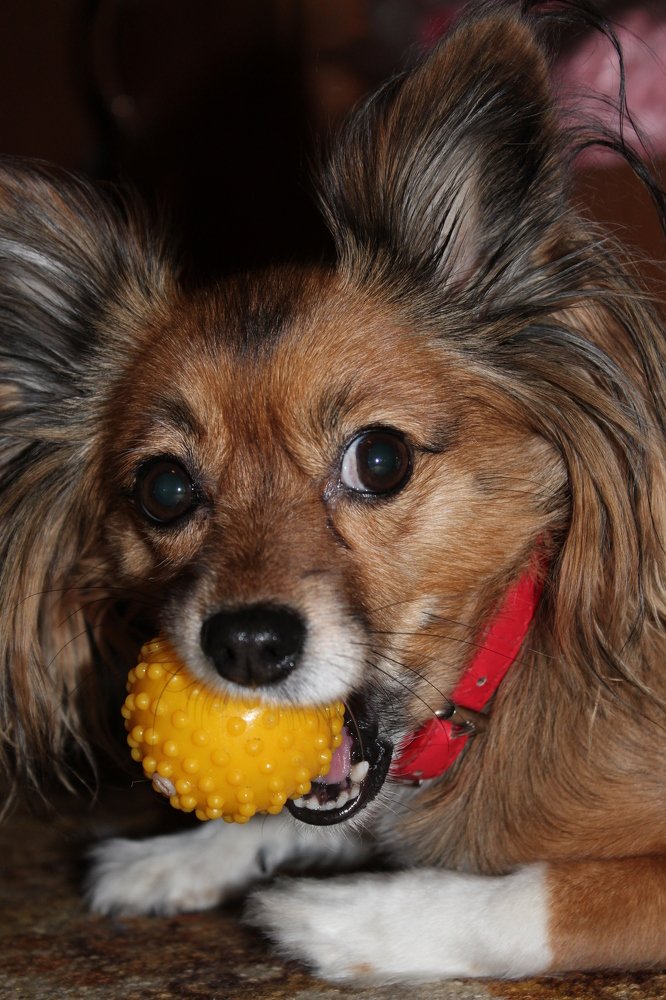 Photograph by Наталья Горбачева