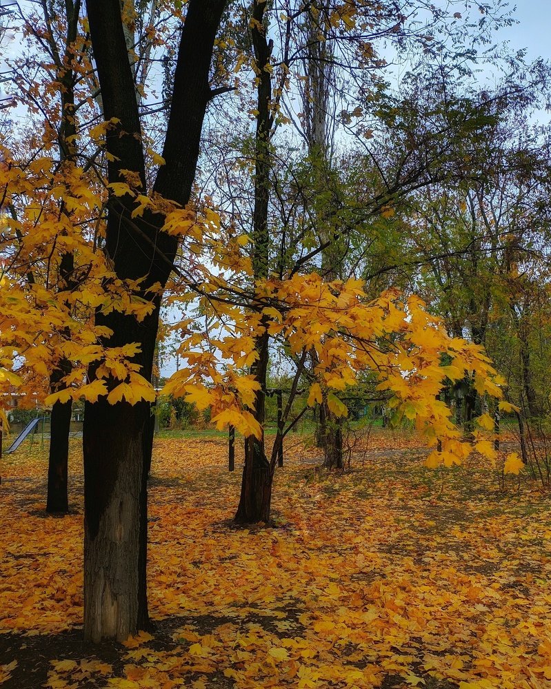 Photograph by Светлана Смирнова