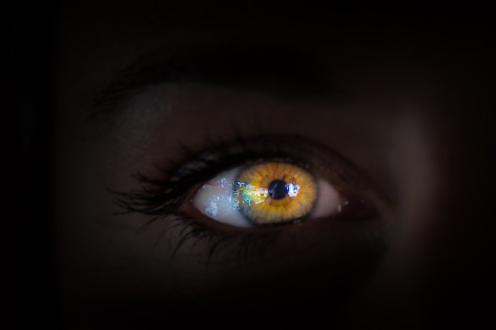 Photograph by Dominik Gugerli