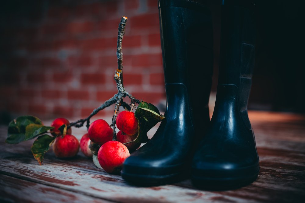 Photograph by Марина Колпакова