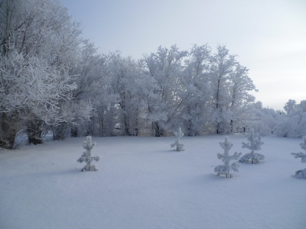 Photograph by Людмила Фризен