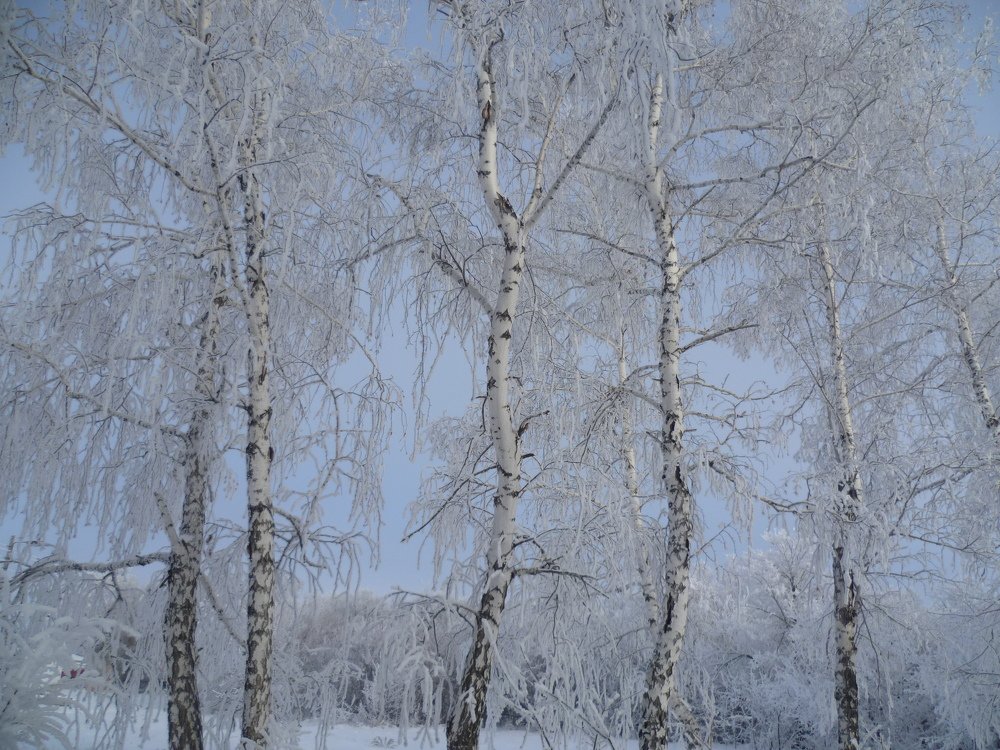 Photograph by Людмила Фризен