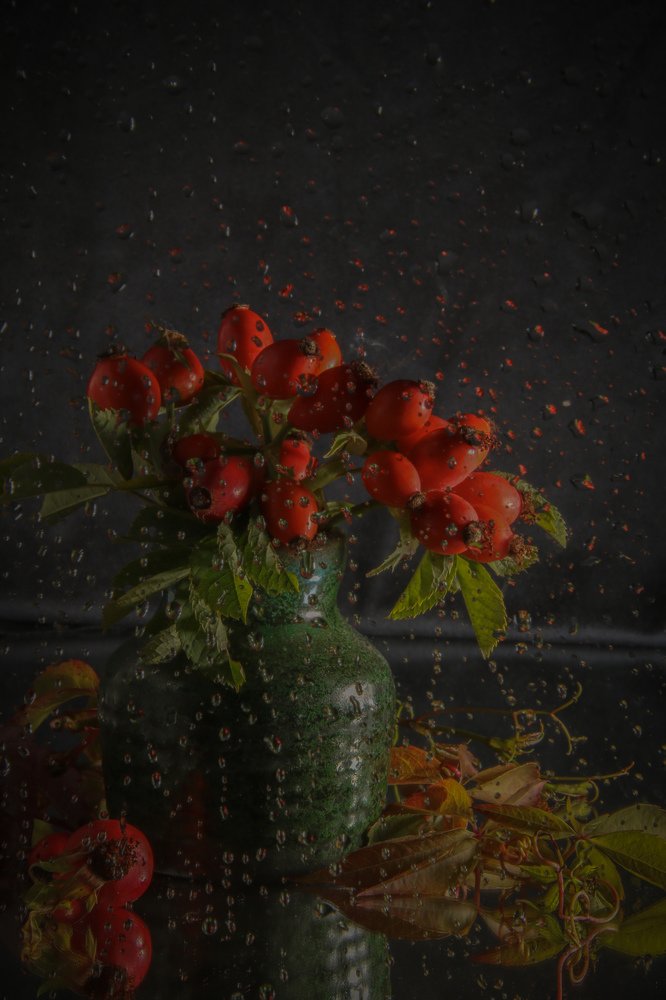 Photograph by Елена Шавшина