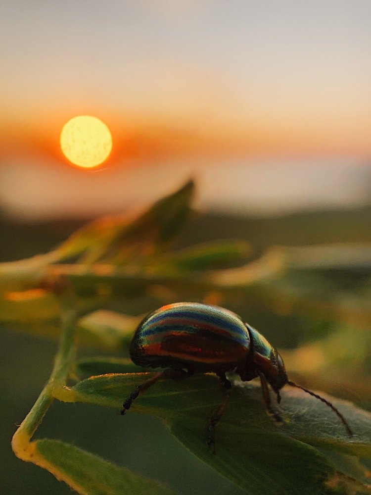 Photograph by Natali