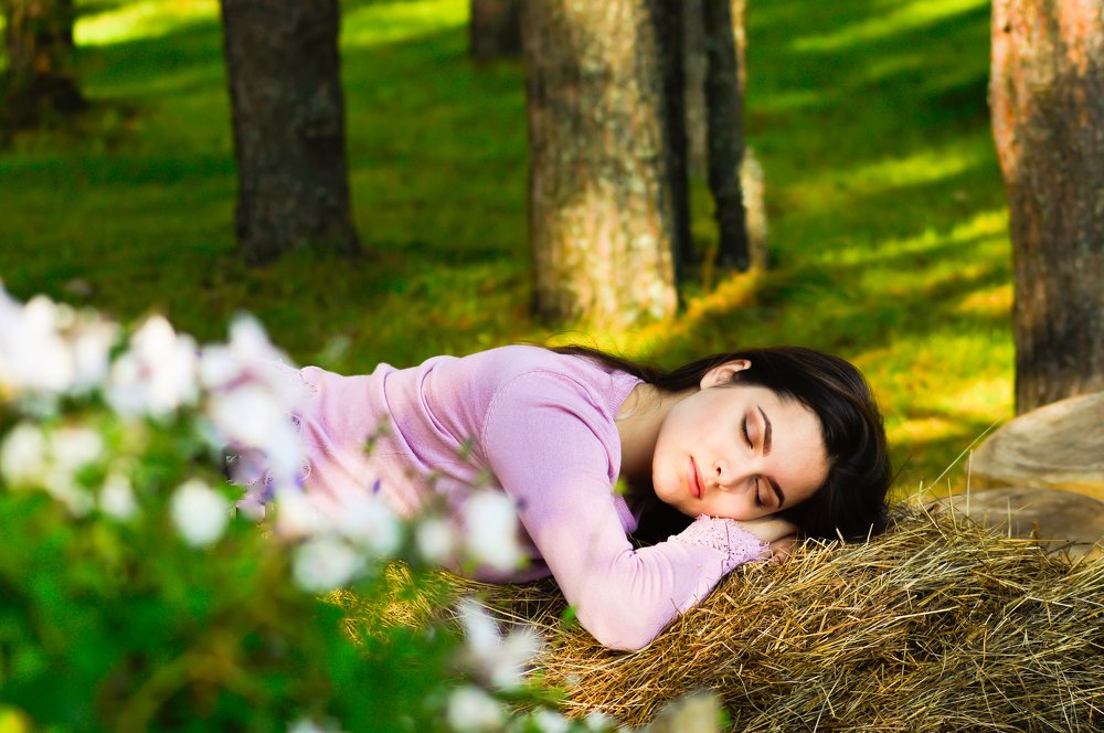 Фотография автора Алексей