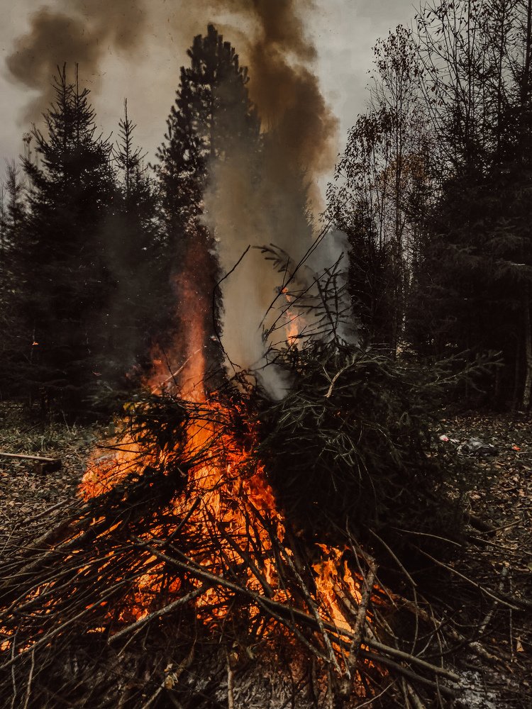 Фотография автора Иван Разиньков