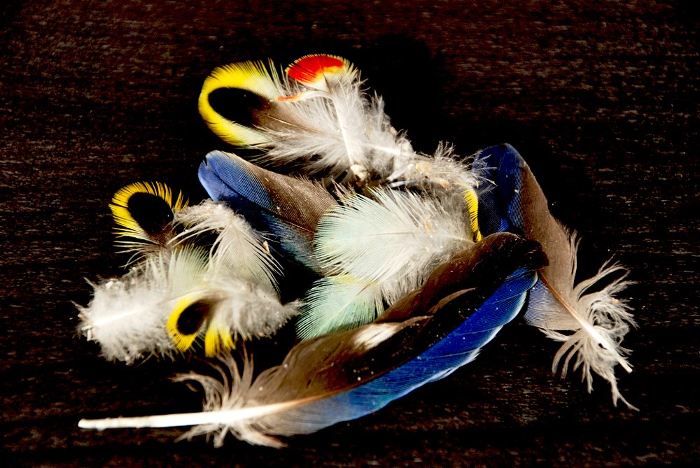 Photograph by Gordana Nikolovska-Dimeska