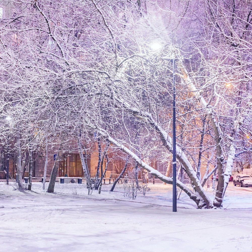Photograph by Шувалова Мария