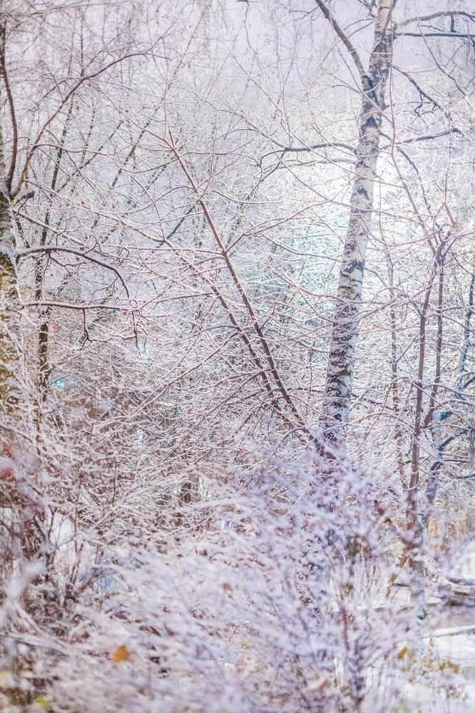 Photograph by Шувалова Мария