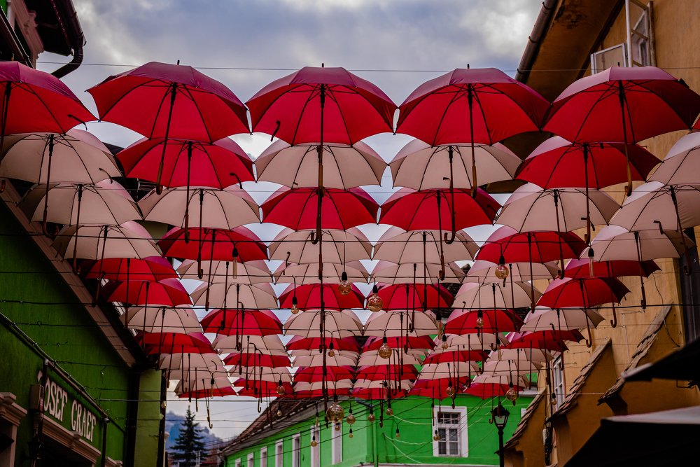 Photograph by Radu Constantinescu