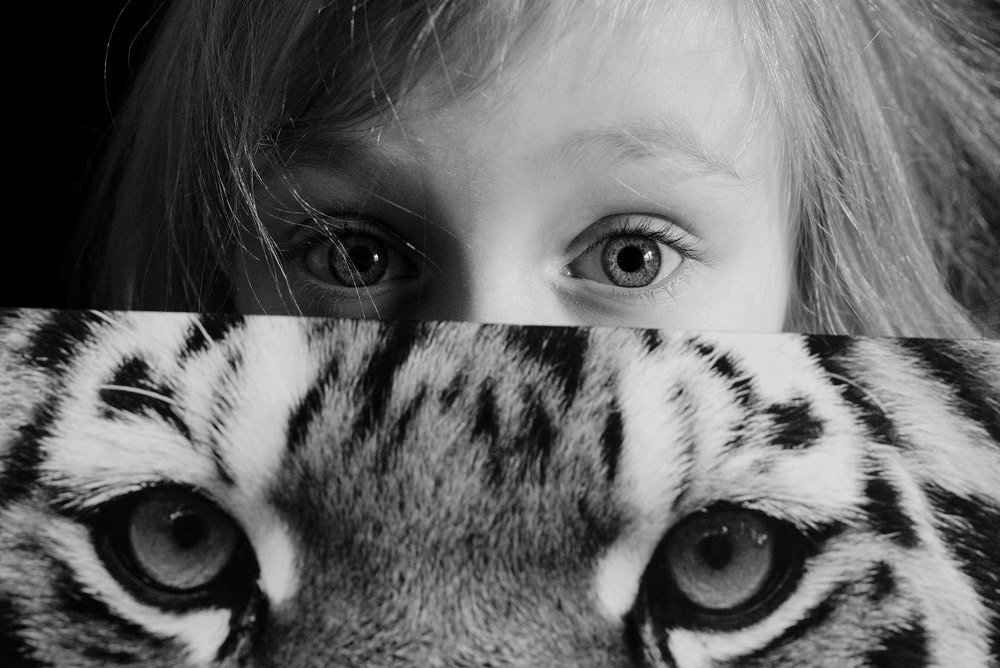 Photograph by Artem Glukhan